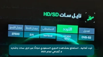 تردد ثمانية.. استمتع بمشاهدة الدوري السعودي مجانًا عبر نايل سات بإشارة لا تُضاهى لعام 2025